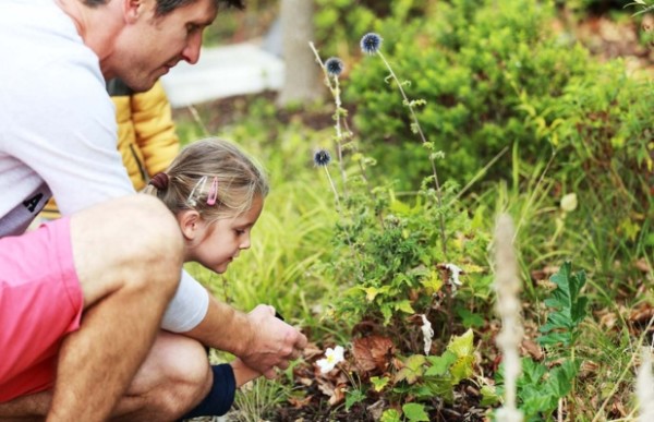 An adult and child looking at plants in a garden