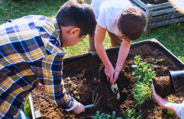 Two children digging in a garden bed