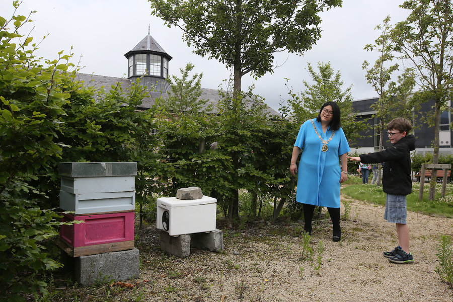 Charlie introducing the Lord Mayor to our newest residents, the bees! Photo by Mark Stedman.