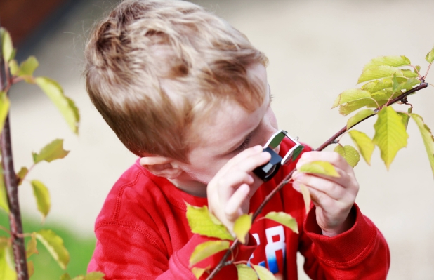 Decorative. A young boy in the Richmond Barracks garden looks at a branch through a magnifying glass 600 x 350 618 x 399 px