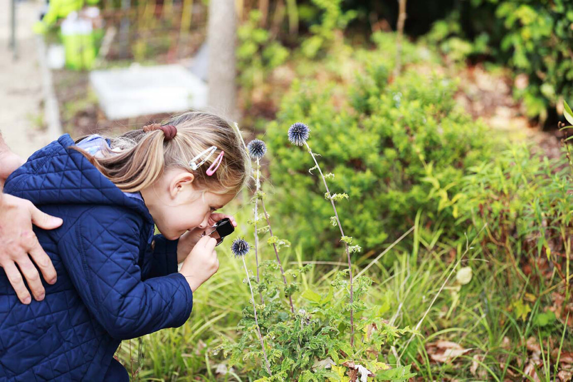 Children in a garden holding small tools and looking closely at plants