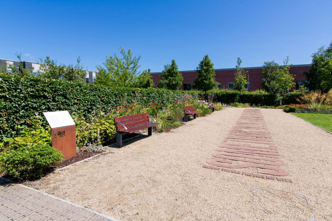 The garden at Richmond Barracks