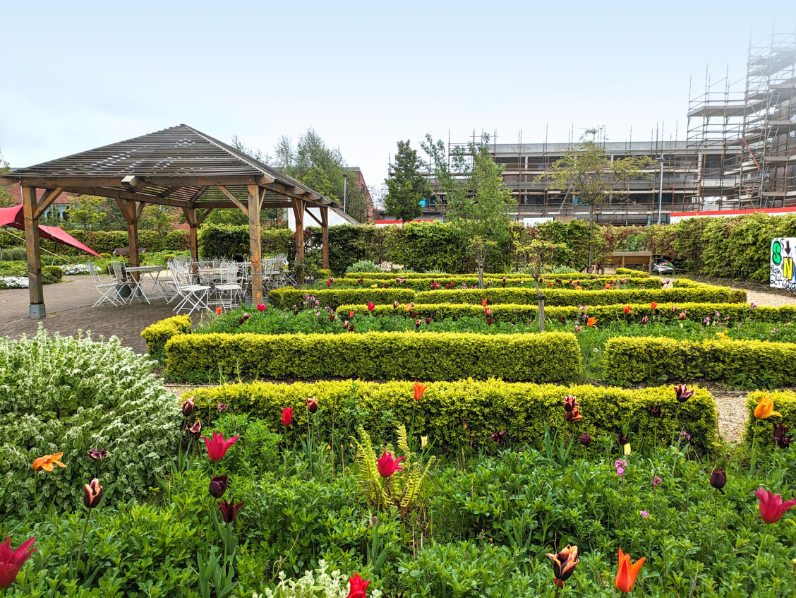 Plants and flowers in the Community Garden 