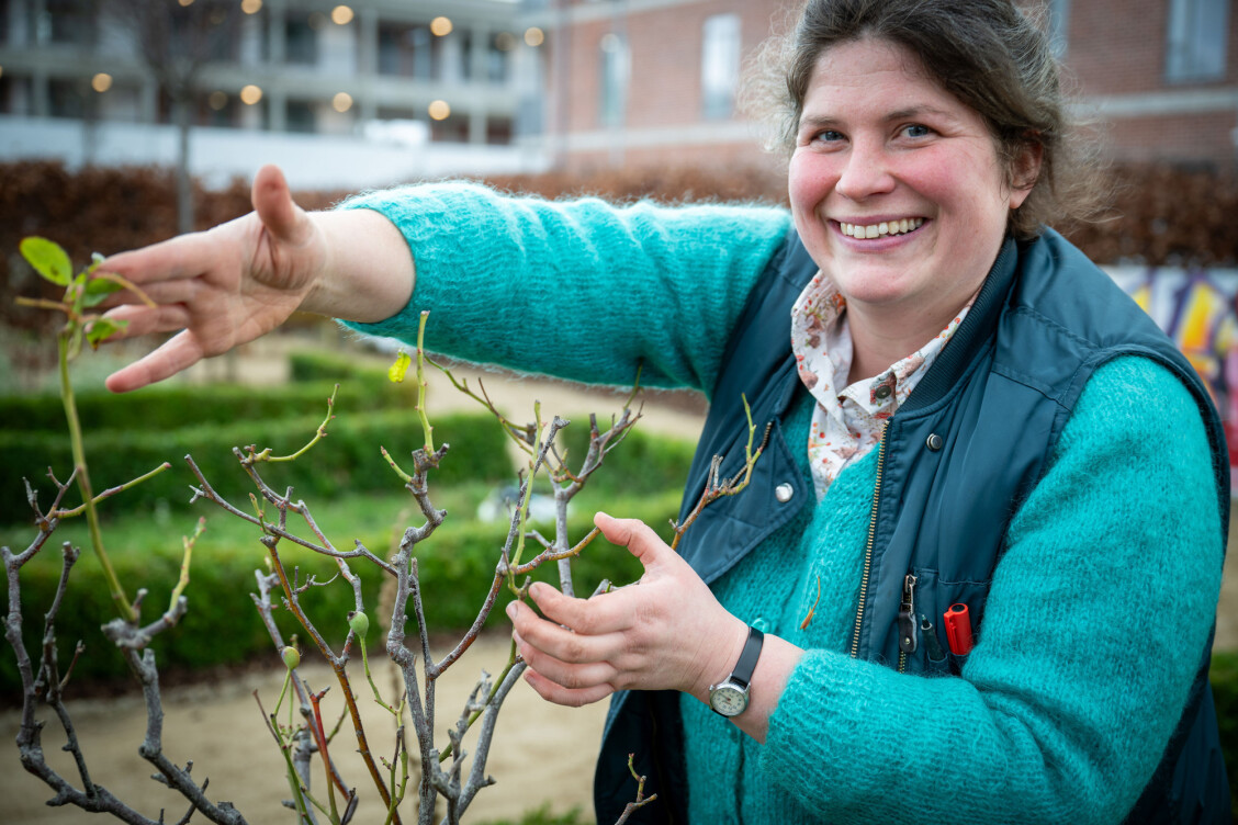 Our Eco-Gardener Polly Rowley-Sams