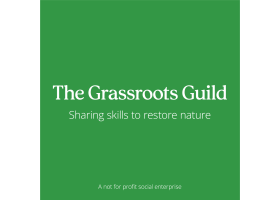 The Grassroots Guild