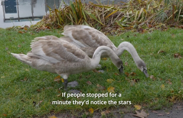 Beautiful Things to Notice - a short film made by Inchicore schoolchildren
