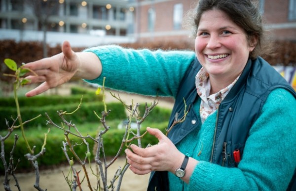 A person is pointing to branches of a tree in a garden