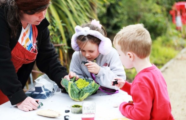 Two children are in a garden, examining a vegetable with a magnifying glass with the guidance of an adult. 